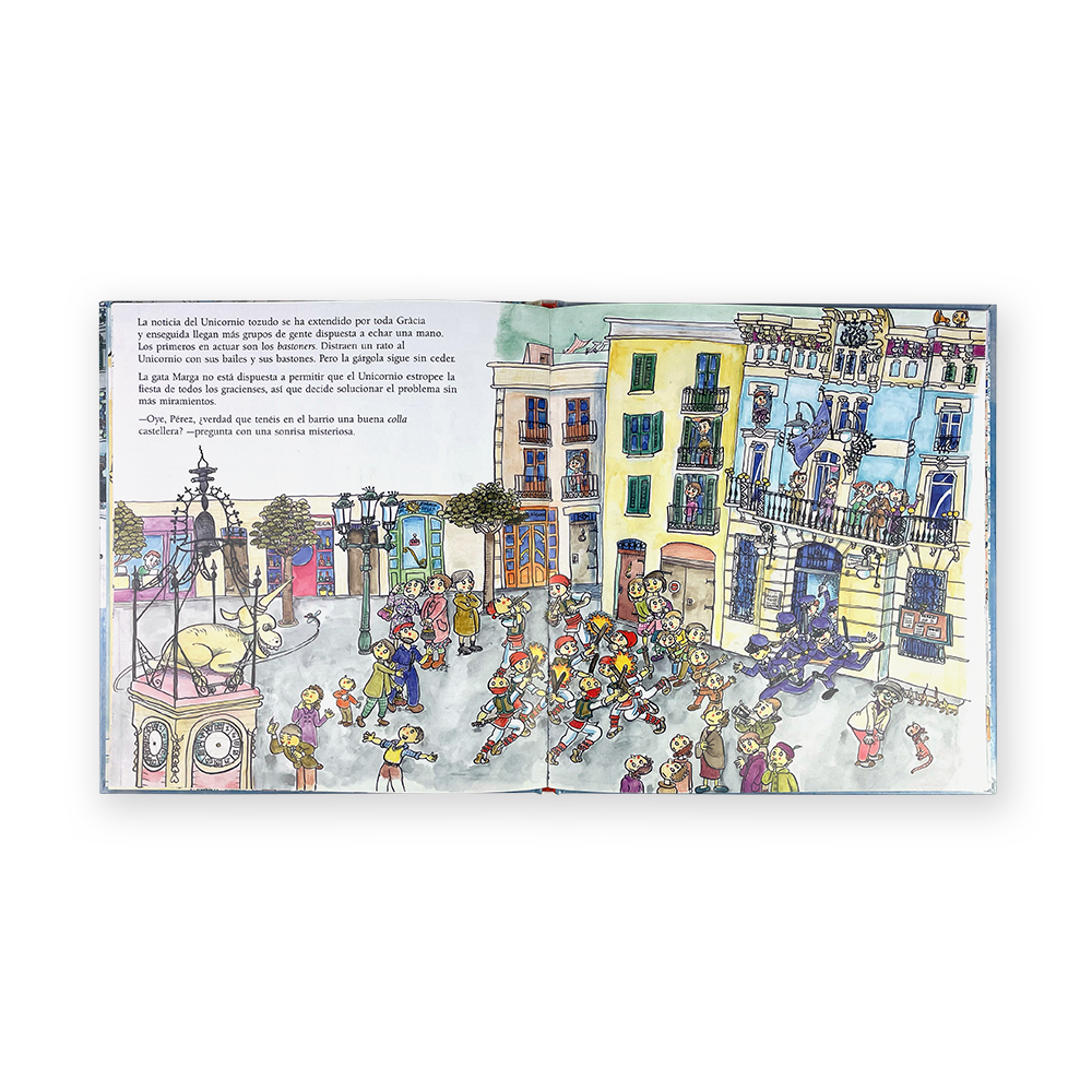 La gata Marga en Sant Medir 