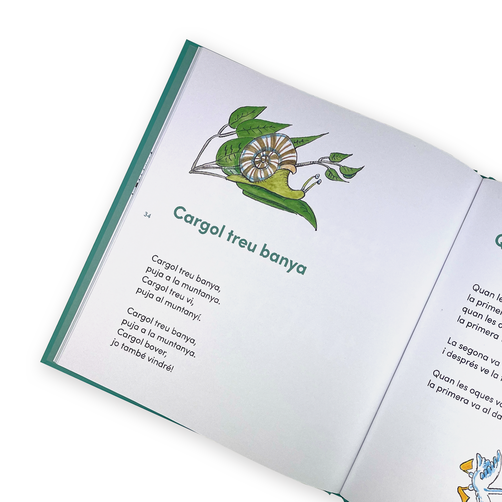 El cançoner de la Pilarin