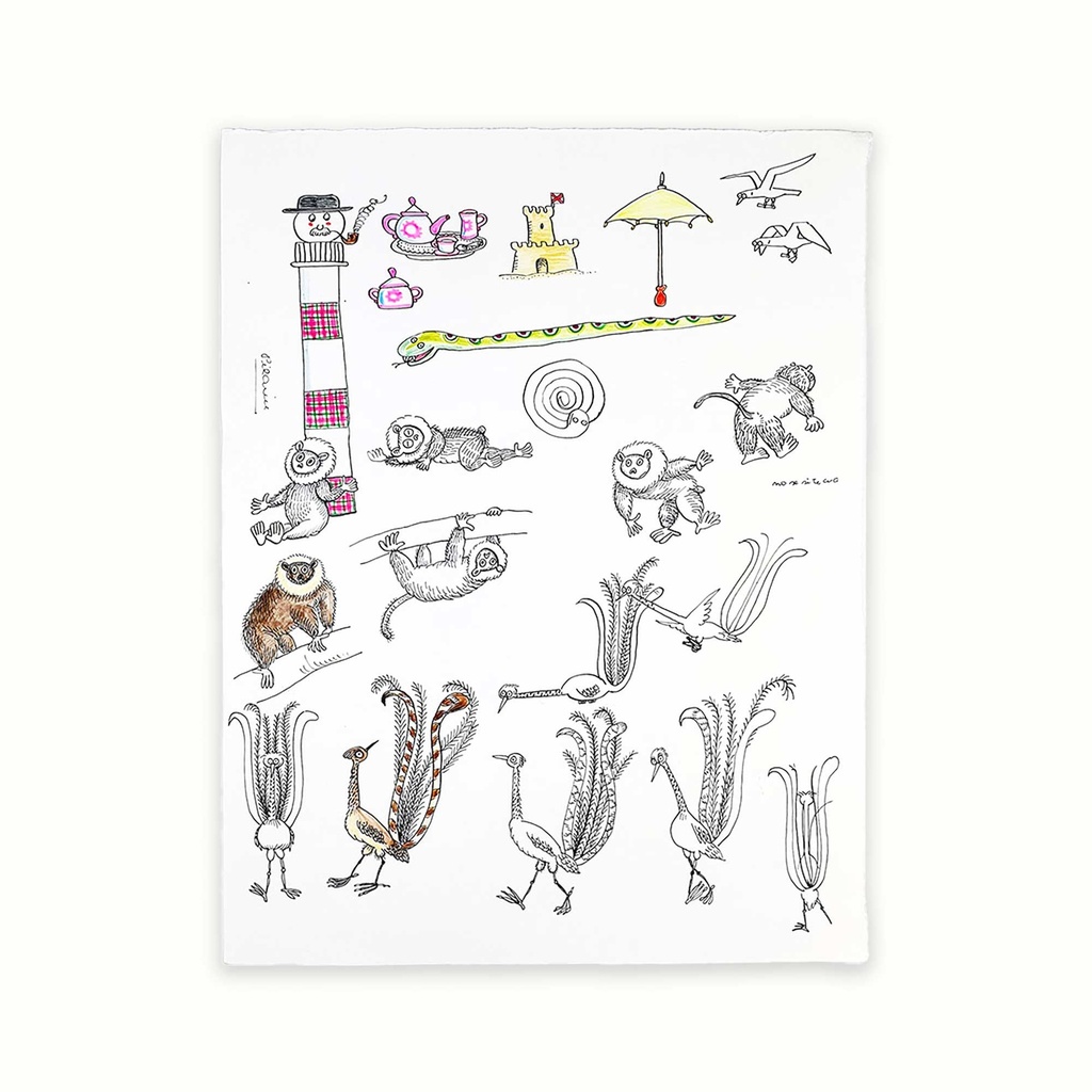 Animals