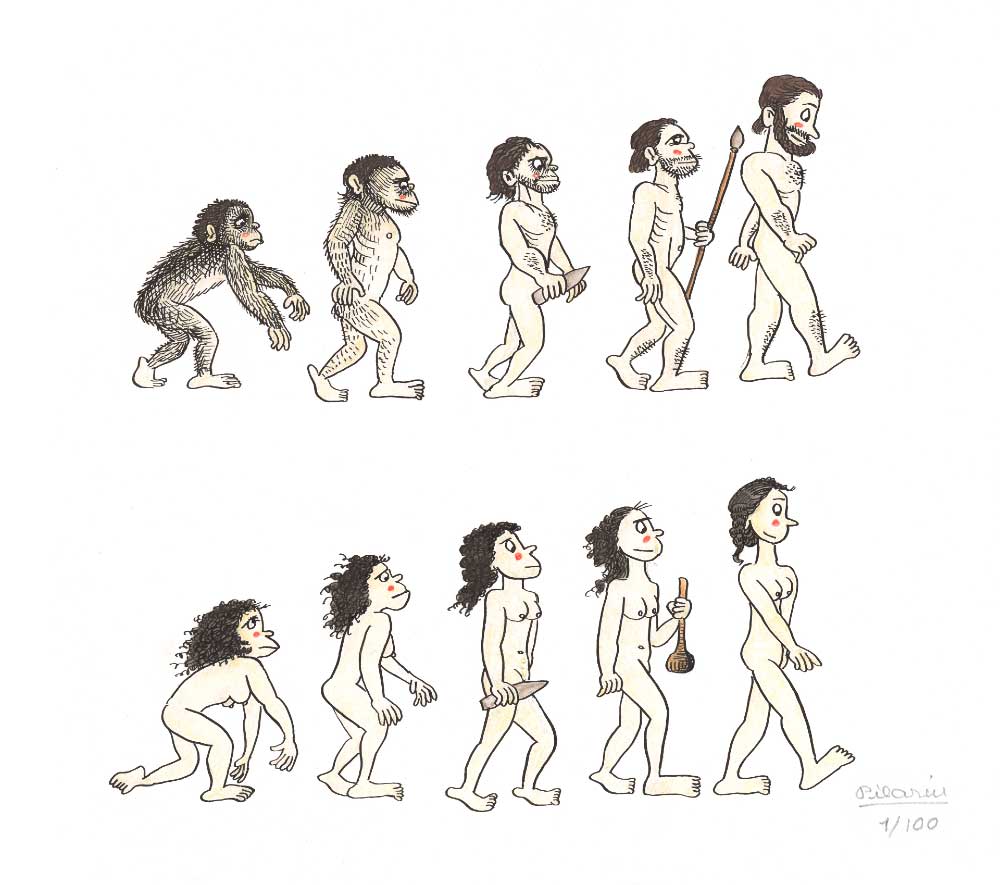 Evolució humana