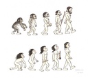 Evolució humana