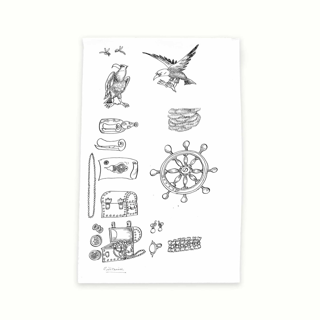Objectes dels pirates