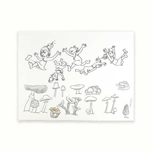 [PLRN0254] La nena i els bolets (L'illa del far)