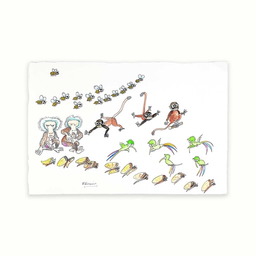 [PLRN0273] Diferents animals