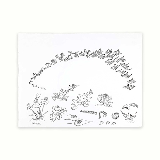 [PLRN0256] Primavera