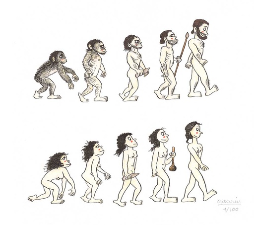 [PLRN0378] Evolució humana